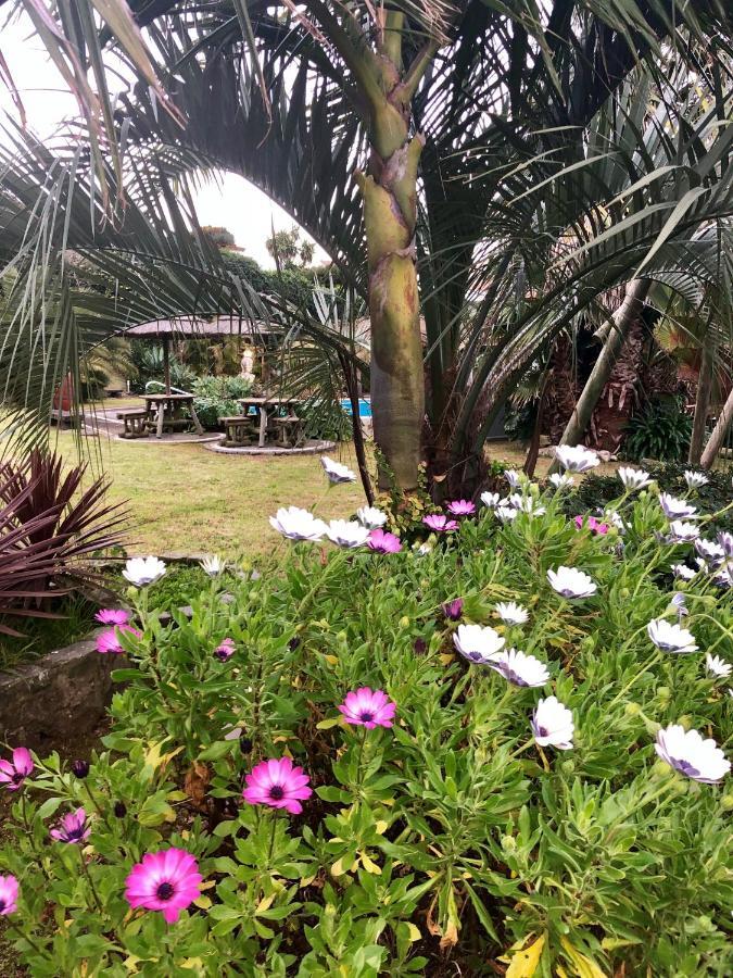 Quinta Da Bela Vista Villa Понта Делгада Екстериор снимка