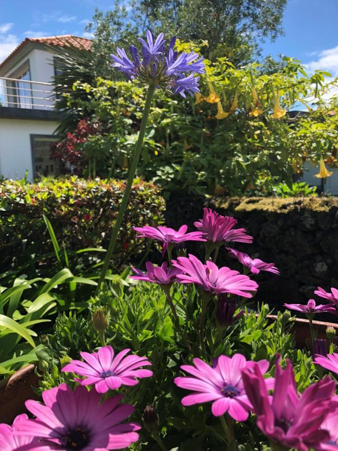 Quinta Da Bela Vista Villa Понта Делгада Екстериор снимка